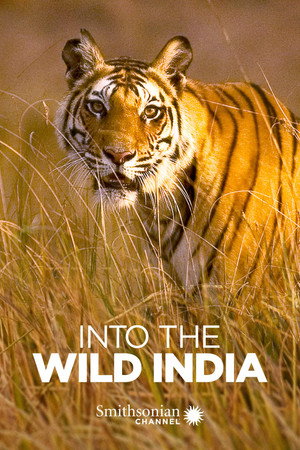 Vissza a vadonba - India