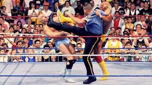 WWE SummerSlam 1990 háttérkép