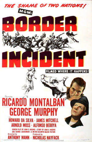 Border Incident