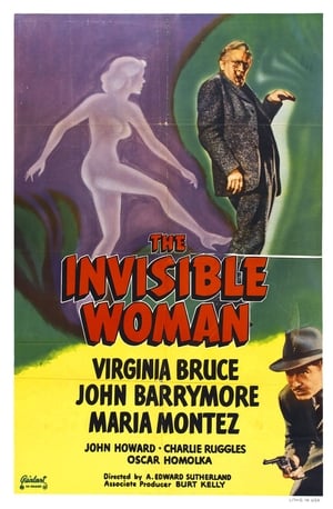 The Invisible Woman poszter