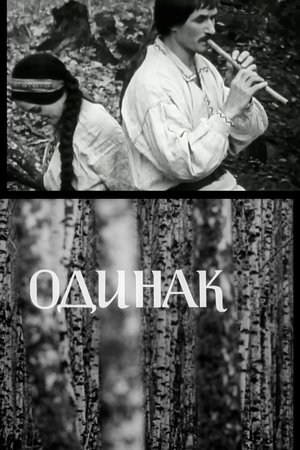 Полигон poszter