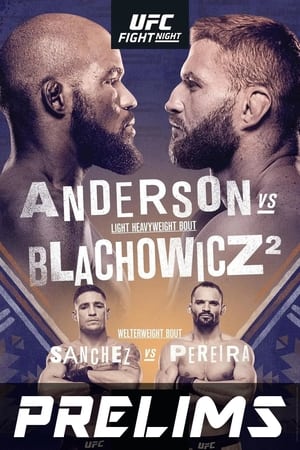 UFC Fight Night 167: Anderson vs. Błachowicz 2 poszter