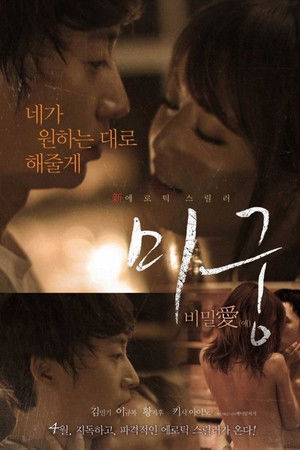 미궁: 비밀애 poszter