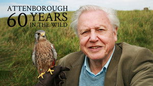 Attenborough - 60 év a vadonban háttérkép