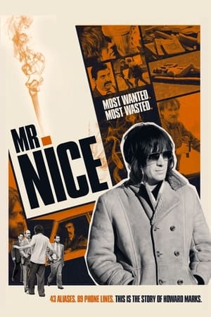 Mr. Nice poszter