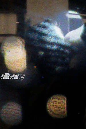 Albany poszter