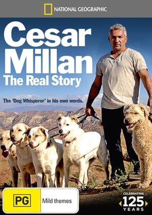 Cesar Millan igaz története poszter