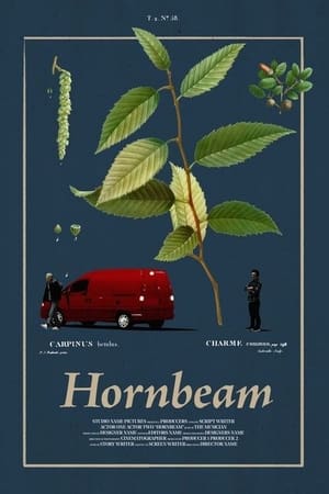 Hornbeam poszter