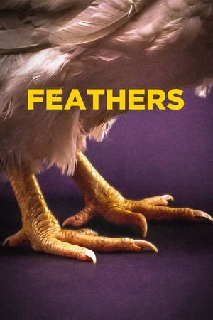 Feathers poszter