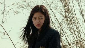 살인자 háttérkép