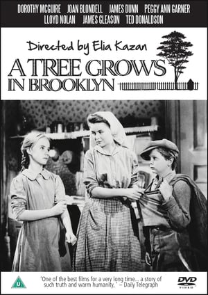 A Tree Grows in Brooklyn poszter