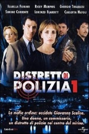 Distretto di Polizia