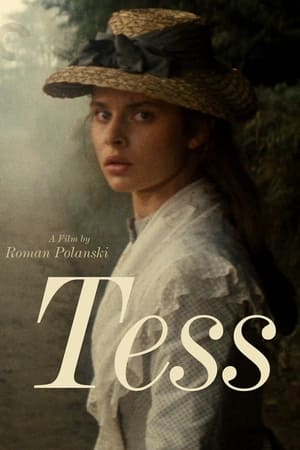 Tess: From Novel to Screen poszter