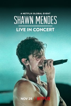 Shawn Mendes: Live in Concert poszter