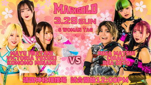 〜高須クリニックpresents〜靖国神社奉納プロレス「マリーゴールド大和神州女祭り」 háttérkép