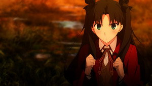 Fate/stay night [Unlimited Blade Works] kép