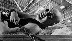War of the Colossal Beast háttérkép