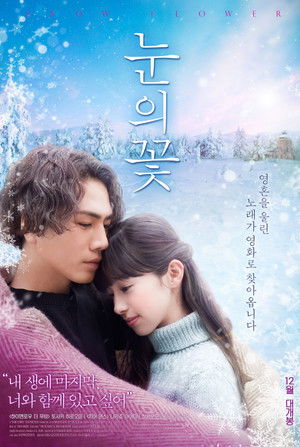 雪の華 poszter