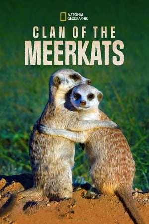 Clan of the Meerkat poszter