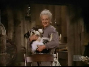 Bonanza Season 11 Ep.17 17. epizód