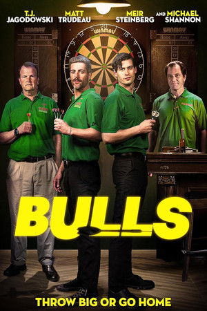 Bulls poszter