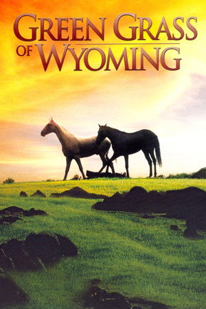 Green Grass of Wyoming poszter