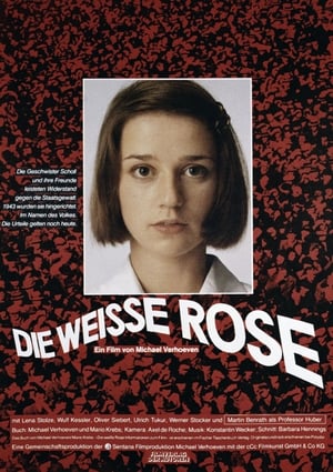 Die weiße Rose