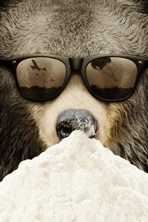 Cocaine Bear: The True Story poszter