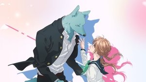 キミと越えて恋になる kép