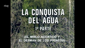 El hombre y la Tierra 2. évad Ep.61 61. epizód