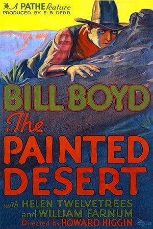 The Painted Desert poszter