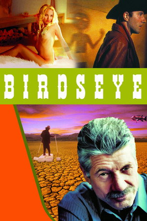 Birdseye poszter