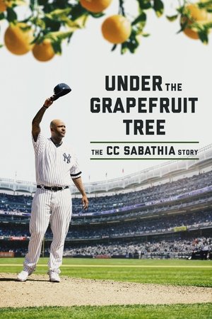 A grapefruit fa alatt: A CC Sabathia sztori