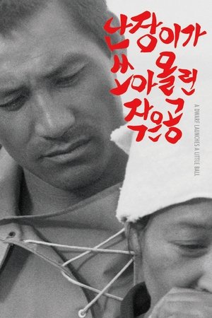 난장이가 쏘아올린 작은 공 poszter