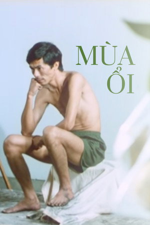 Mùa Ổi poszter