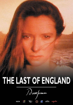 The Last of England poszter