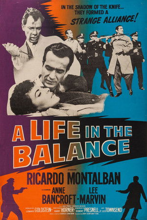 A Life in the Balance poszter