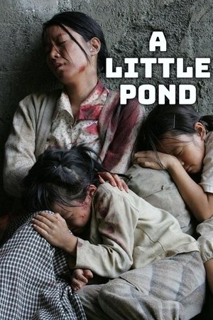 작은 연못 poszter