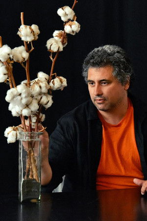 Radu Jude profil kép