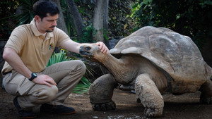 Animal Embassy kép