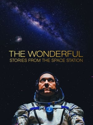 The Wonderful: Stories from the Space Station poszter