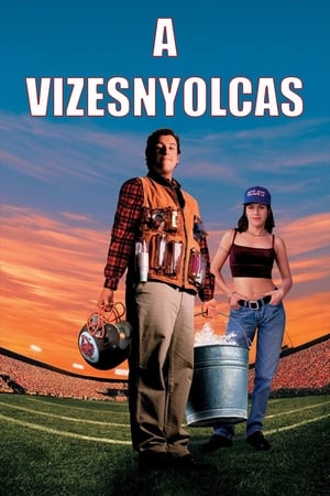 A vizesnyolcas