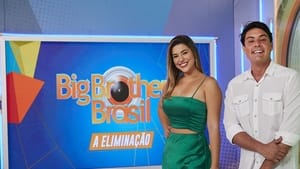 Big Brother Brasil: A Eliminação kép