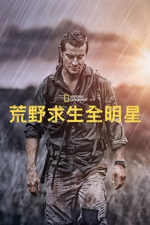 Bear Grylls: Sztárok a vadonban poszter