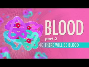 Crash Course Anatomy & Physiology 1. évad Ep.30 30. epizód