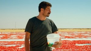 Hemme’nin Öldüğü Günlerden Biri háttérkép
