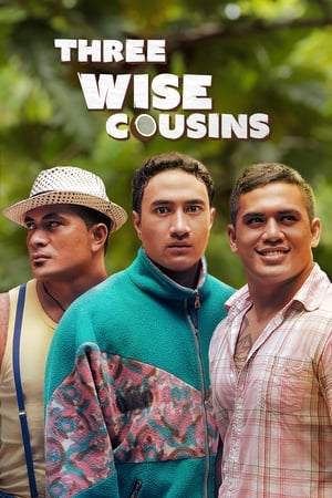 Three Wise Cousins poszter