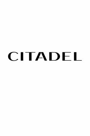 Citadel poszter