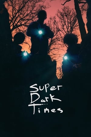 Super Dark Times poszter