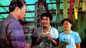 南方的岸 háttérkép